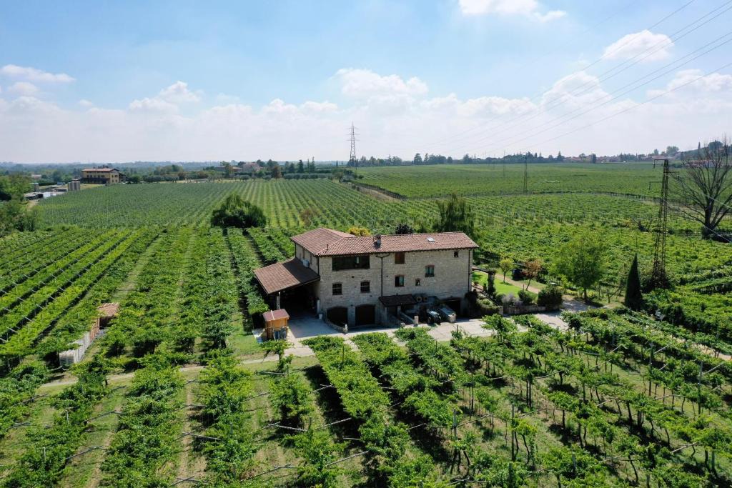Pedemonte Apartment | Corte Odorico
