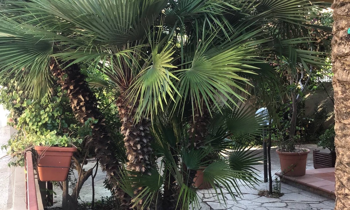 La Pietraia Hotel | Hotel Mistral