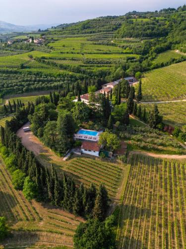 Mezzane di Sotto House | Massimago Wine Relais