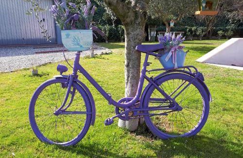 Bussolengo Bed & Breakfast | 28 m² Bed and breakfast ∙ 4 guests