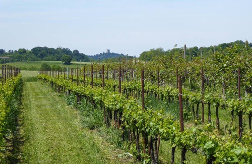 Marano di Valpolicella House | 80 m² House ∙ 1 bedroom ∙ 4 guests