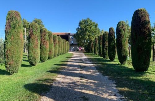 Pescantina Apartment | Agriturismo Corte Bonetti - Appartamento Il Platano