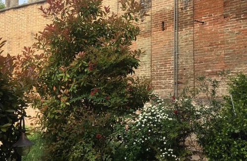 Nord-Est House | 10 minutes from Verona, lovely one-bedroom apartment nestled in the vineyards