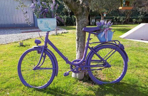 Bussolengo Bed & Breakfast | 28 m² Bed and breakfast ∙ 4 guests