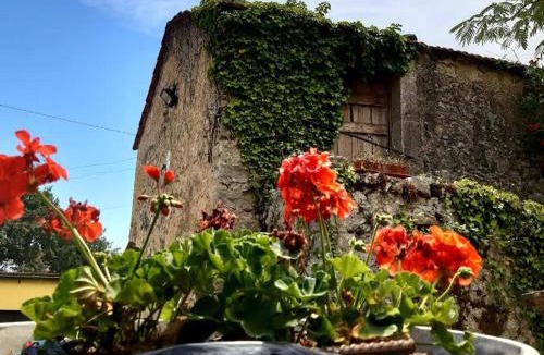 Montaquila Bed & Breakfast | Affittacamere Varone