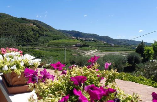 Negrar Bed & Breakfast | B&B Paradiso