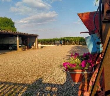 Monteforte d'Alpone House | Corte Ohana