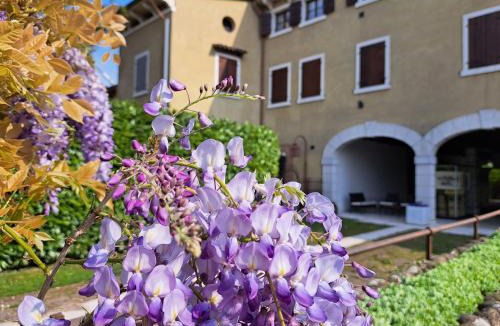 Pescantina Apartment | Corte Violeti Il Brolo
