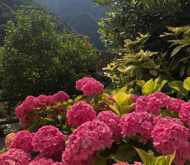 Giazza House | Haus Granata Family - Trekking - Bike