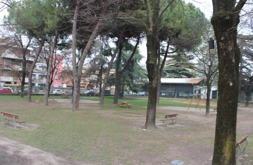 Borgo Milano House | I gatti delle foreste