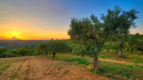Tollo Bed & Breakfast | la Casa del Vino - B&B