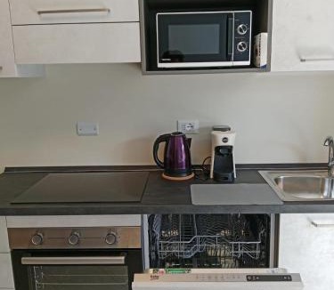 Sud-Ovest Apartment | Near Expo and center 5