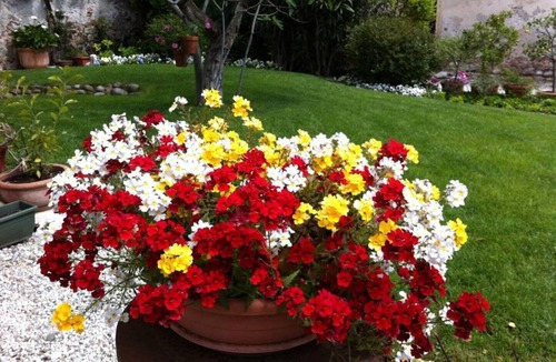 Ovest Apartment | Relaxing historic villa, cycle path to the city center, lake, Valpolicella