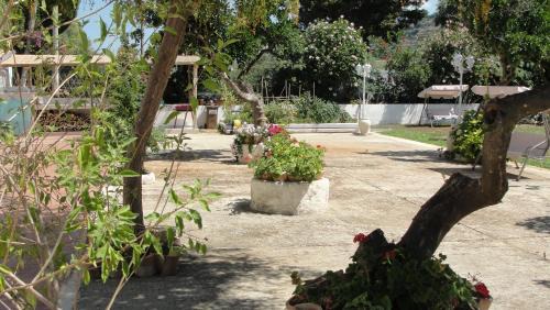 Pizzo Bed & Breakfast | Villa Primaluce