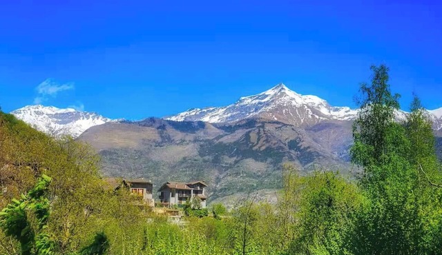 Belvedere House at the foot of the mountains, welcome our 4-legged friends