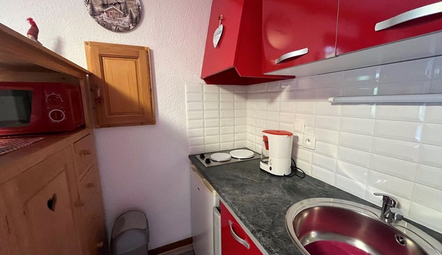 Cozy studio in Châtel for 4 people, south-west facing balcony