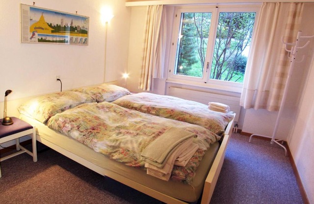 Amici 