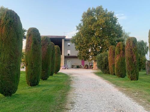 Pescantina Apartment | Agriturismo Corte Bonetti - Appartamento Il Platano
