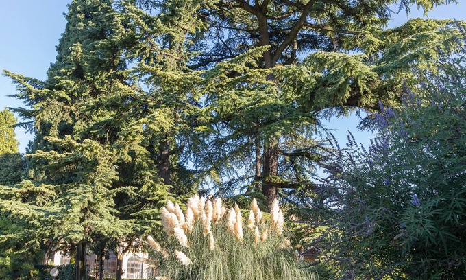 Sona Villa | Villa Dei Cipressi, near Lake Garda, Verona and Gardaland