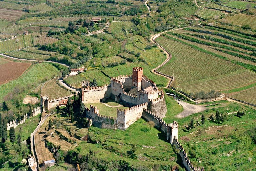 Photo of Human In Picture in Soave