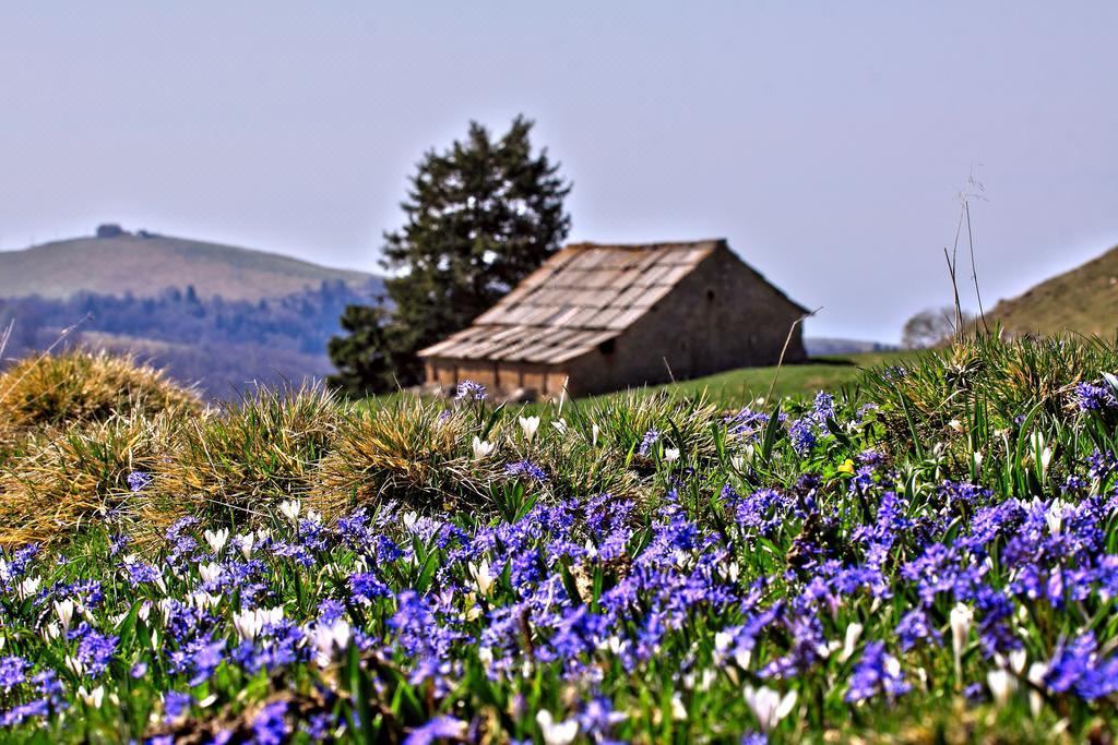 Photo of Buildings in Bosco Chiesanuova