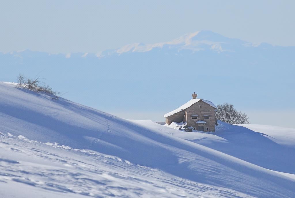 Photo of Outdoor in Bosco Chiesanuova