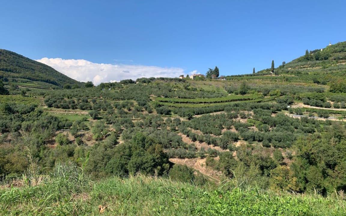 Photo of Others in Cazzano Tramigna