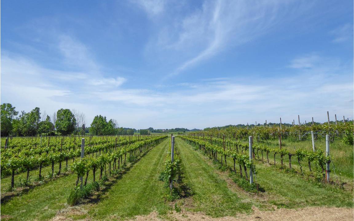 Photo of Others in Marano di Valpolicella