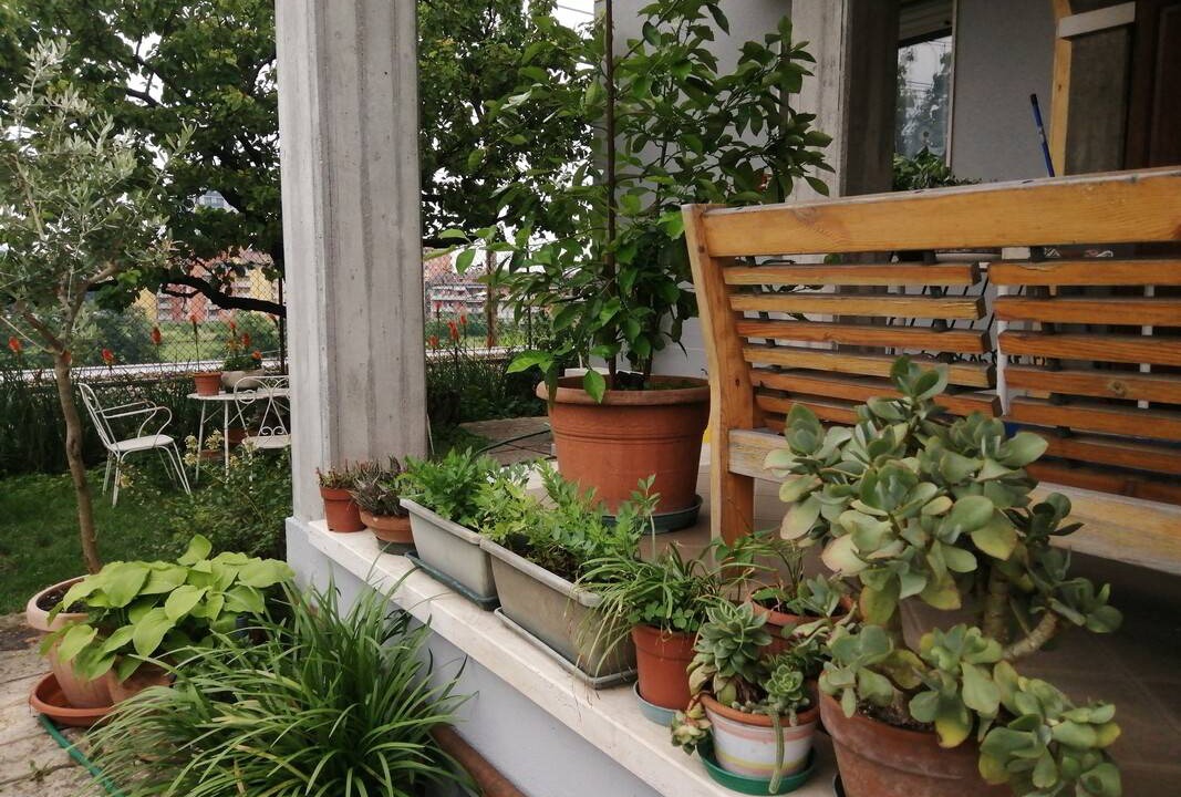 Photo of Others in Borgo Milano