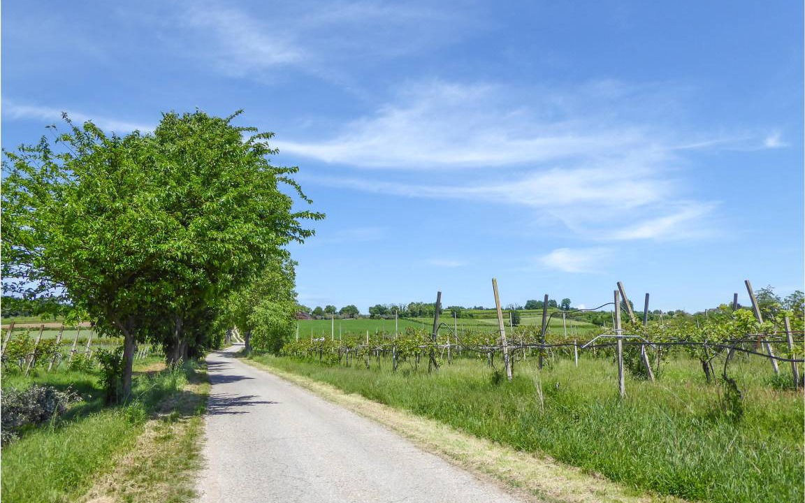 Photo of Others in Marano di Valpolicella