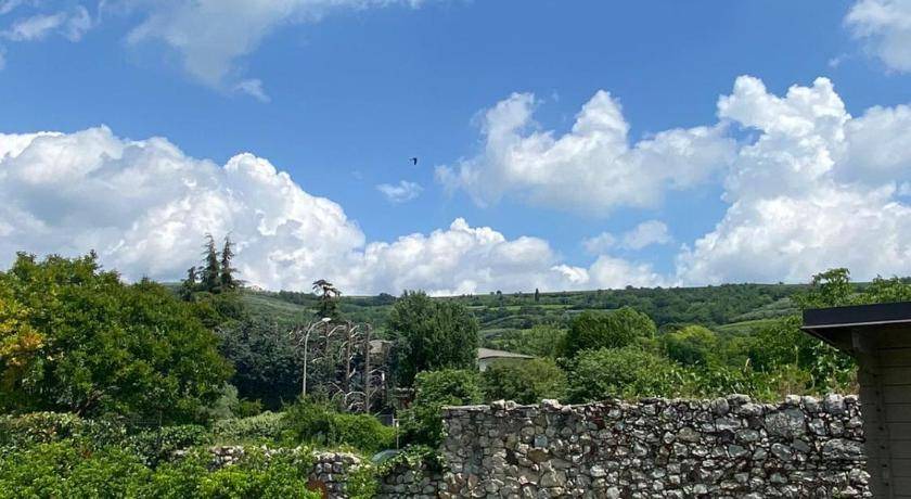Photo of Others in Marcellise