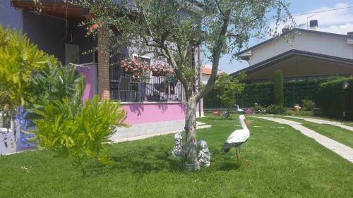 Photo of Others in Bussolengo