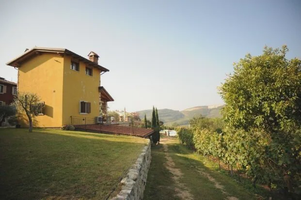 Photo of Others in Soave