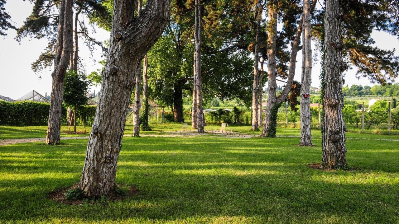 Photo of Outdoor in Sona