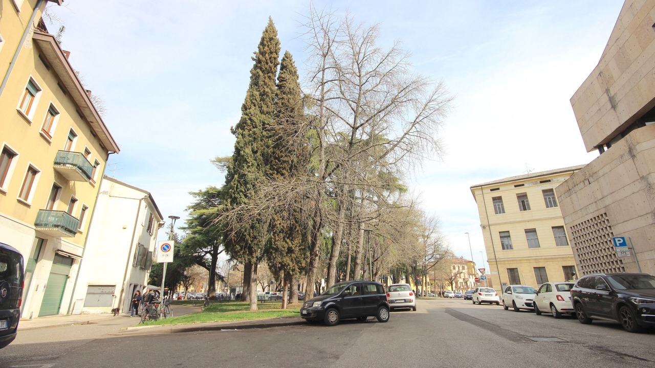 Photo of Others in San Zeno
