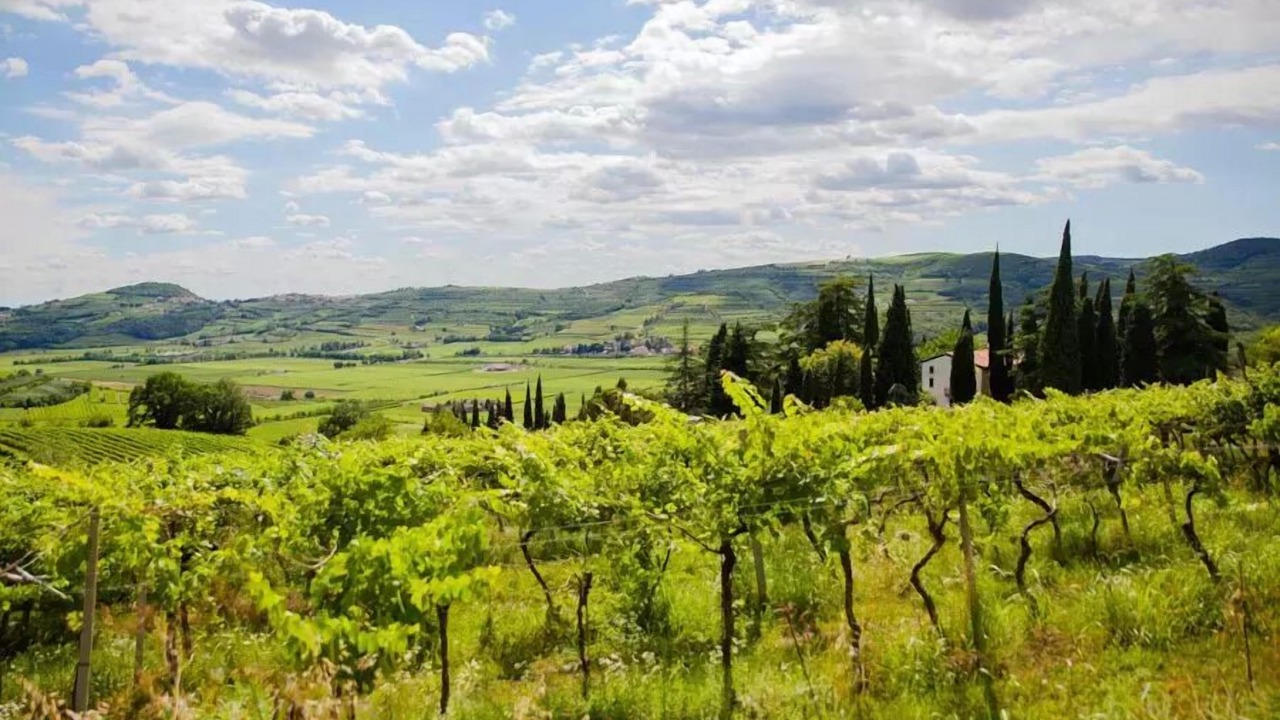 Photo of Outdoor in Lione