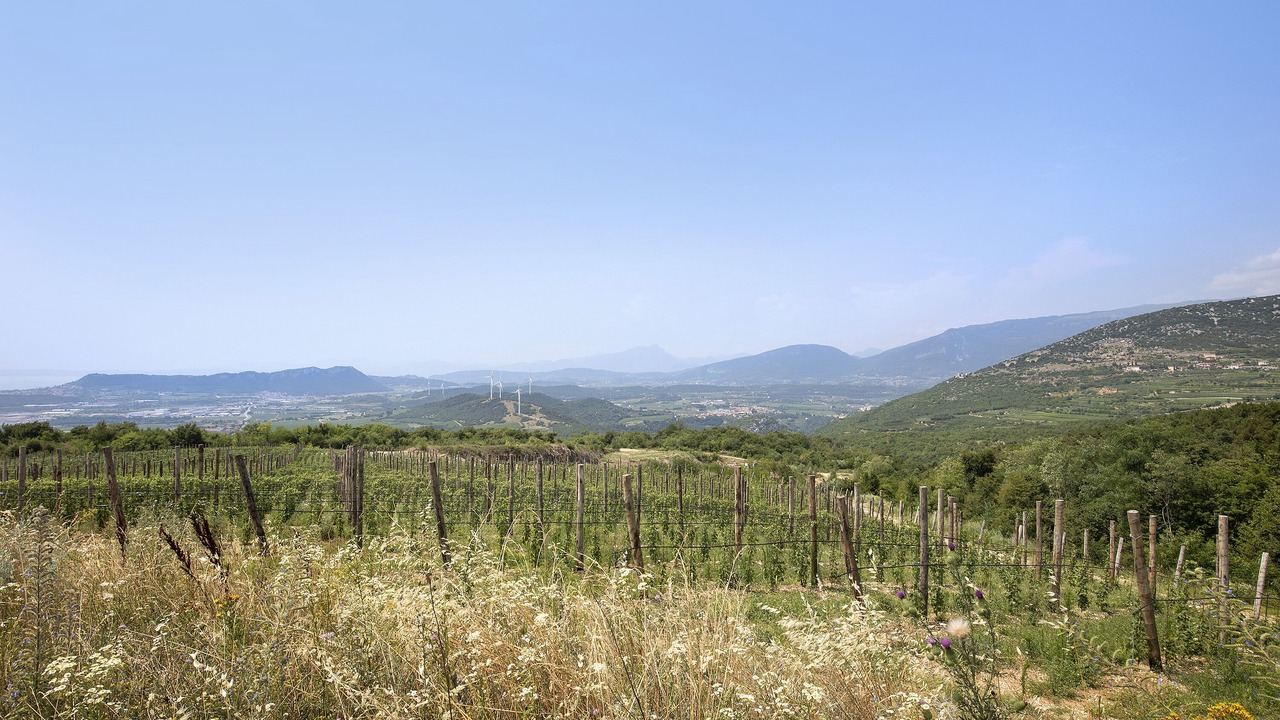Photo of Outdoor in Sant'Ambrogio di Valpolicella