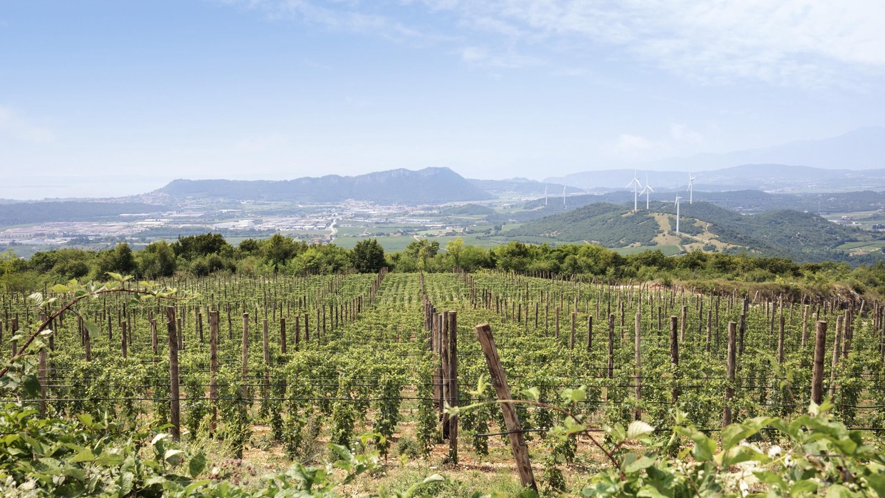 Photo of Outdoor in Sant'Ambrogio di Valpolicella