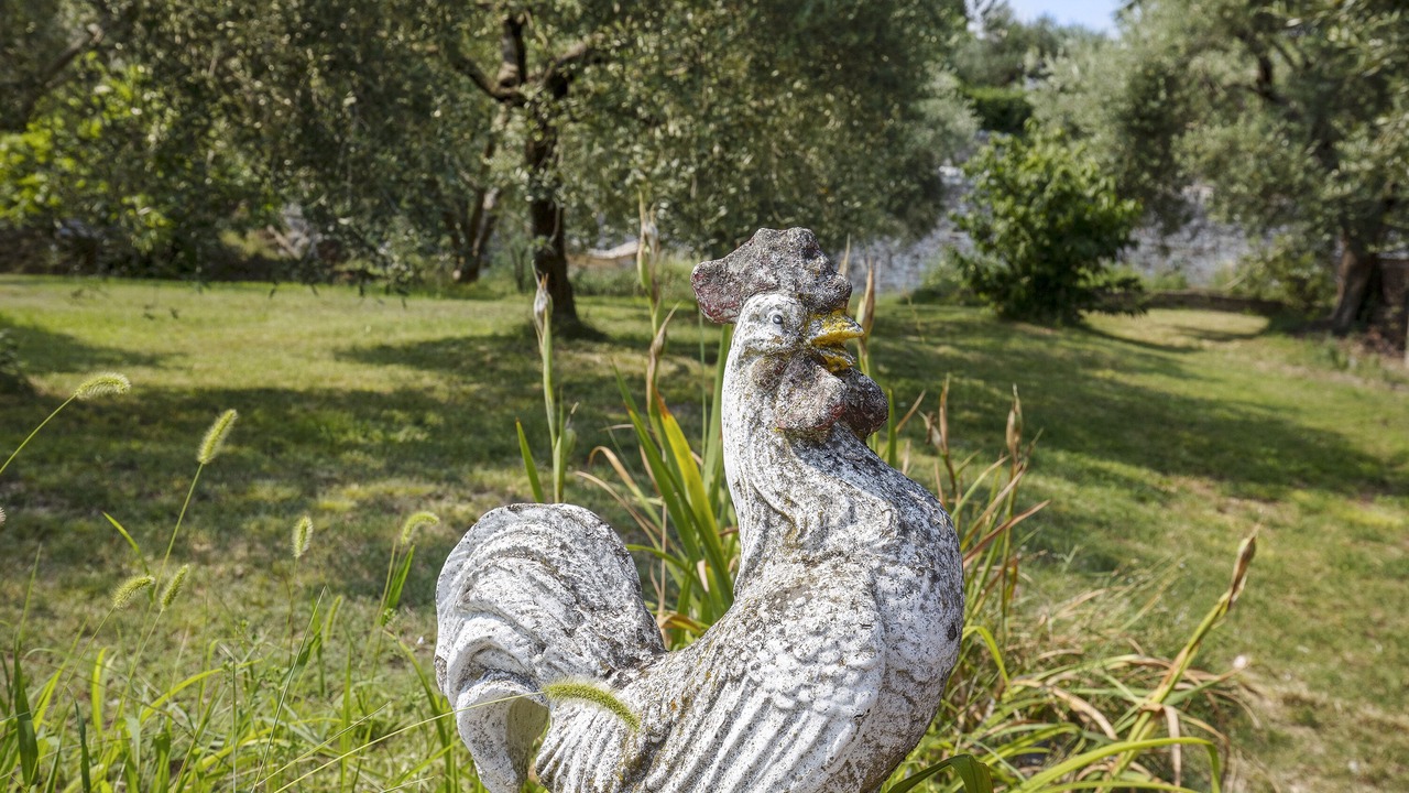 Photo of Outdoor in Sant'Ambrogio di Valpolicella