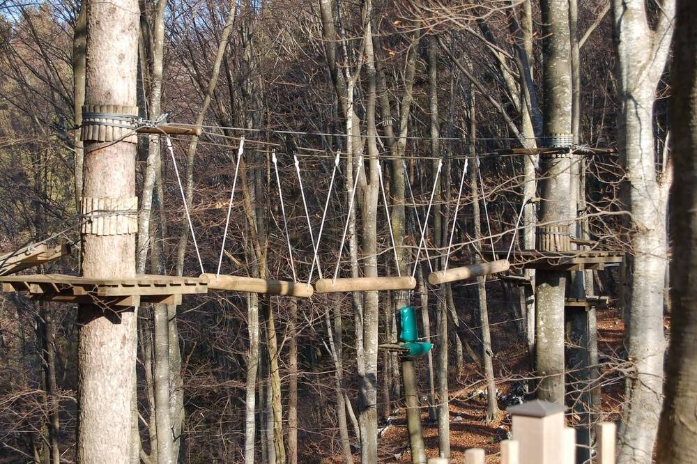 Photo of Others in Bosco Chiesanuova