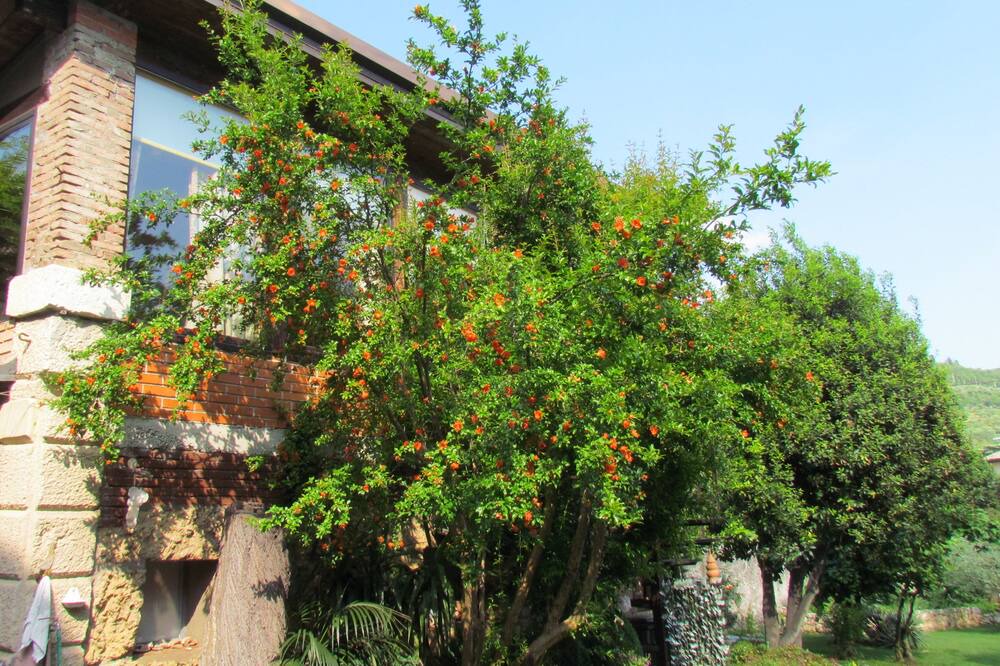 Photo of Outdoor in Nord-Ovest