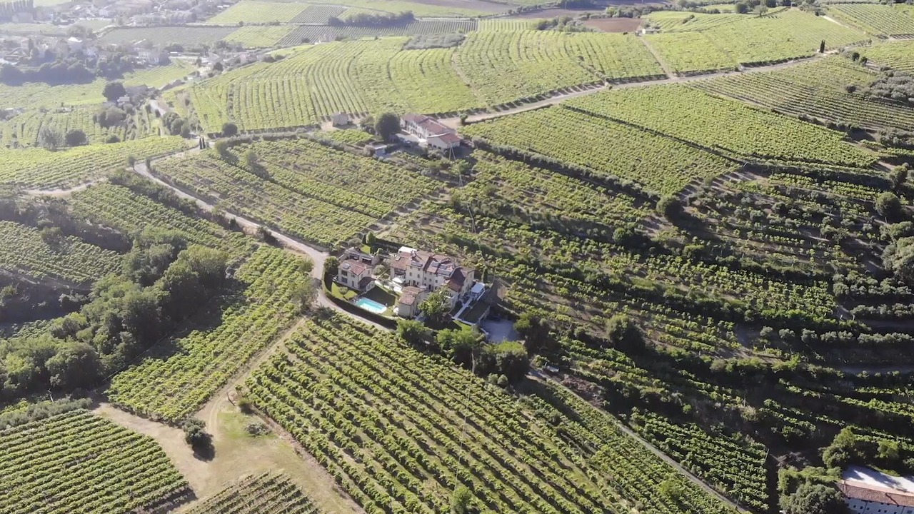 Photo of Outdoor in Soave
