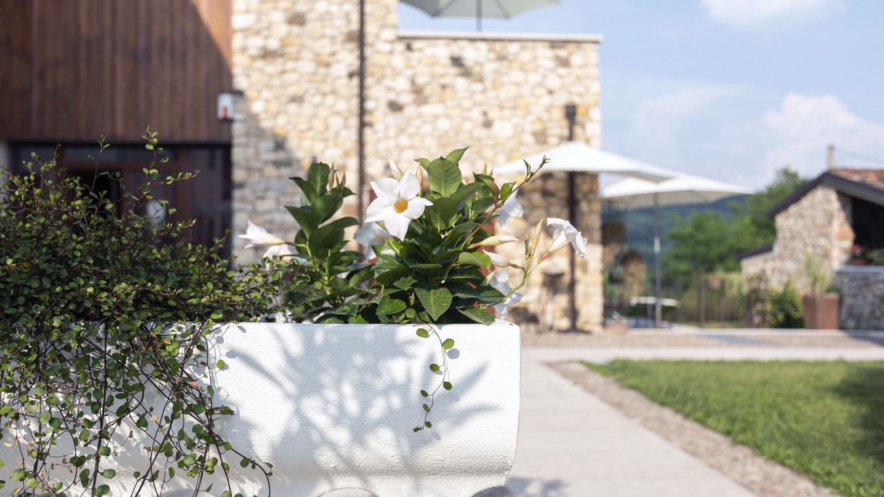 Photo of Outdoor in Soave