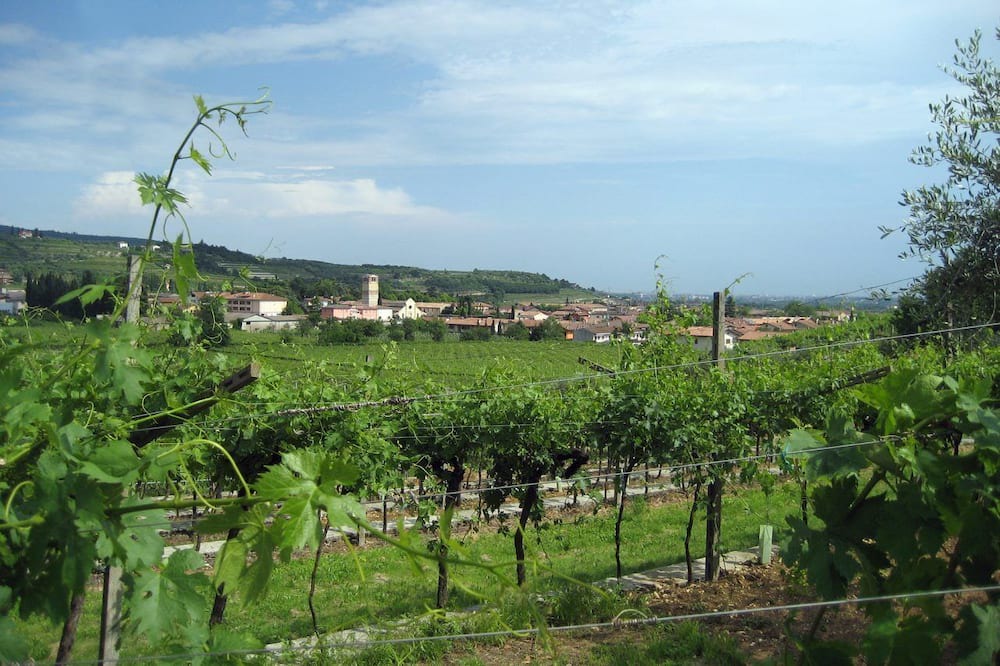 Photo of Outdoor in San Pietro in Cariano