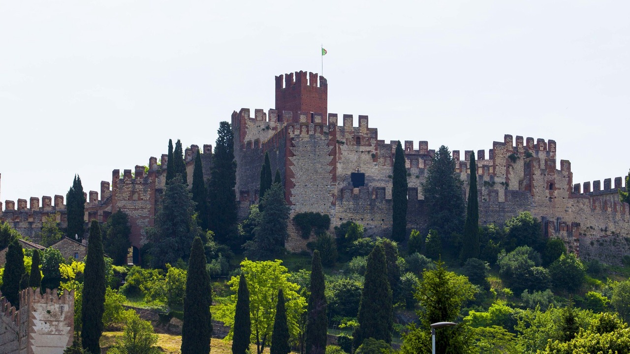 Photo of Others in Soave