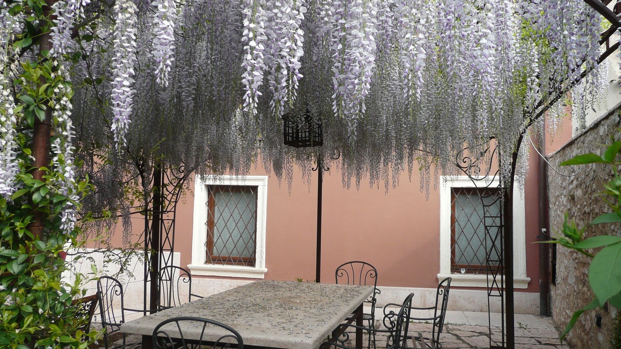Photo of Outdoor in Tregnago
