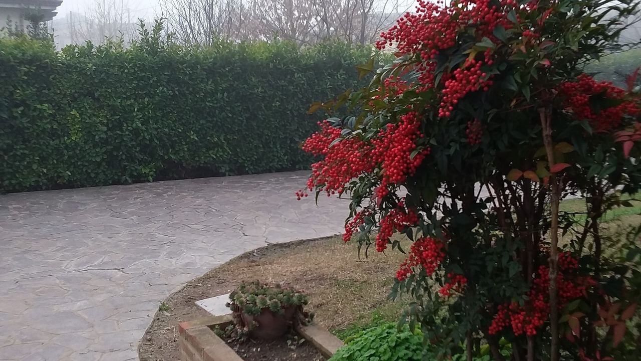 Photo of Outdoor in Badia Polesine