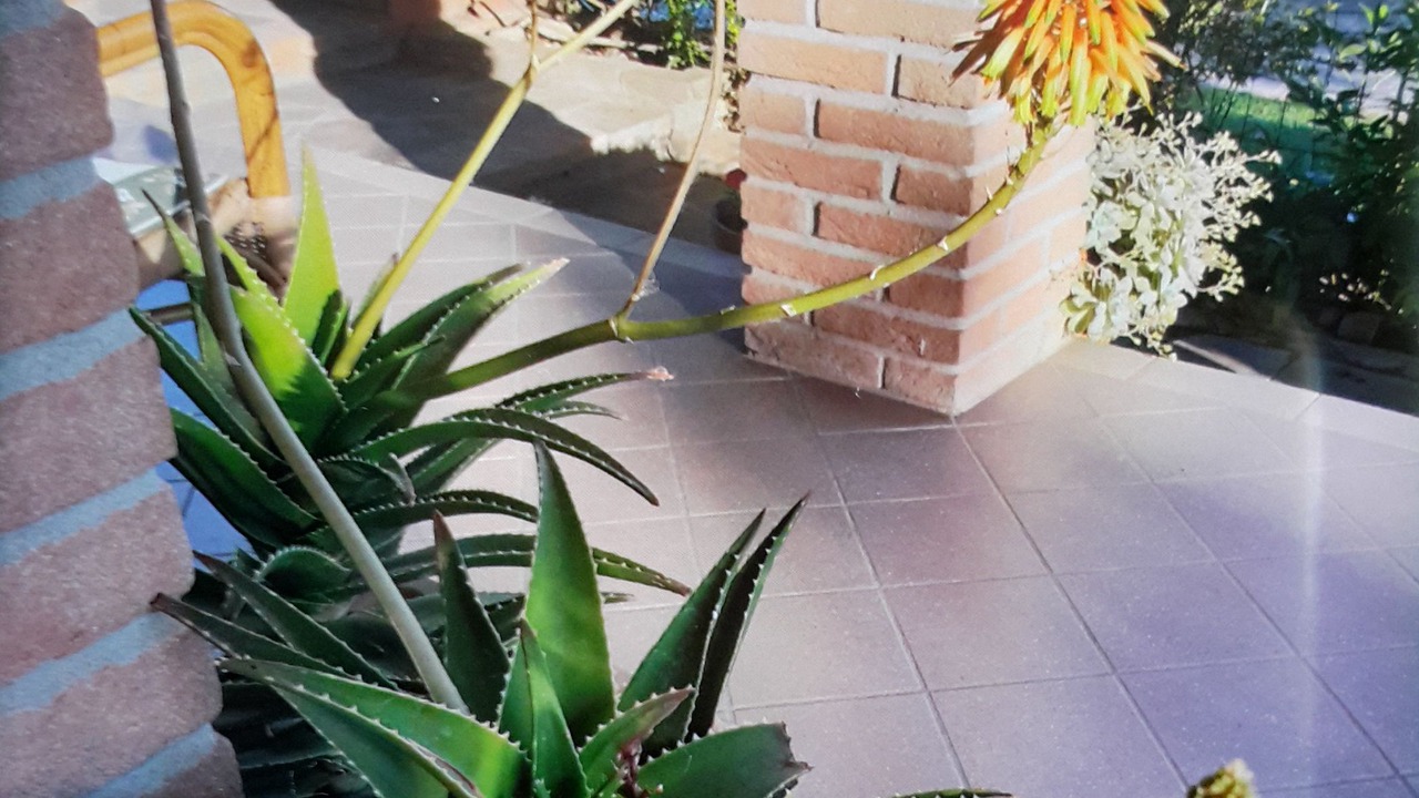Photo of Outdoor in Badia Polesine
