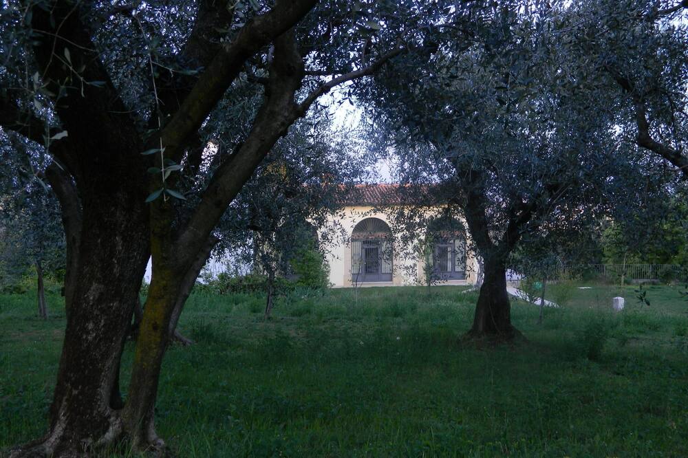 Photo of Others in San Pietro