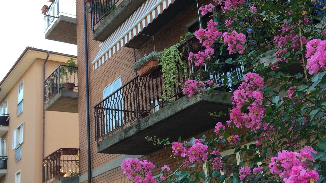 Photo of Outdoor in Est